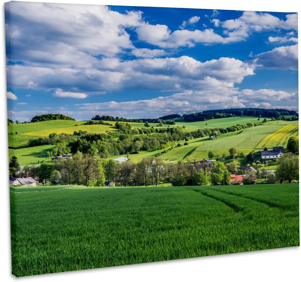 3dRose, Czech Republic, Bohemia, Spring Farm Fields., Museum Grade Canvas Wrap 14x11