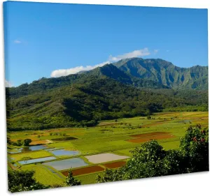 3dRose, Hanalei Valley Lookout, Taro fields, Kauai, Hawaii, Museum Grade Canvas Wrap 14x11