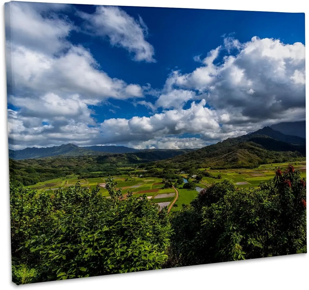 3dRose, Overlooking the taro fields of Hanalei, HI, Museum Grade Canvas Wrap 14x11