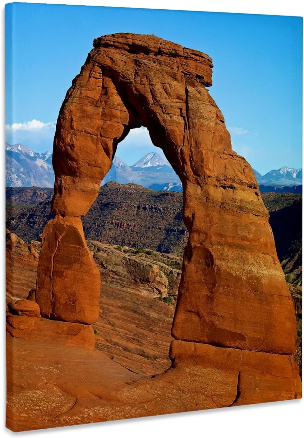 3dRose, USA, Utah, Arches. Delicate Arch., Museum Grade Canvas Wrap 8x10