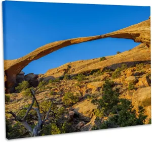 3dRose, USA, Utah. Landscape Arch near the Devils Garden in Arches NP., Museum Grade Canvas Wrap 20x16