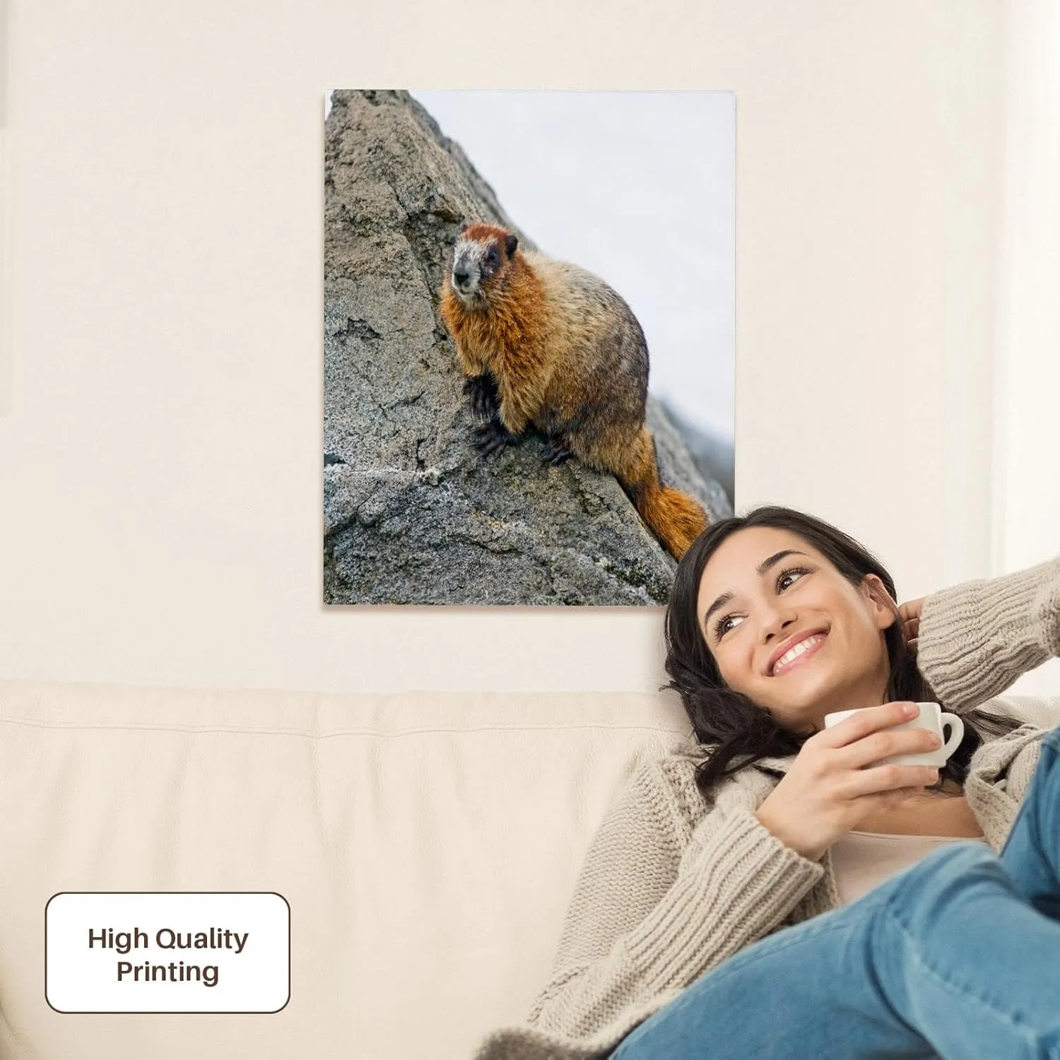 3dRose, USA, Washington, North Cascades NP, Copper Ridge. Adult hoary marmot., Museum Grade Canvas Wrap 16x20