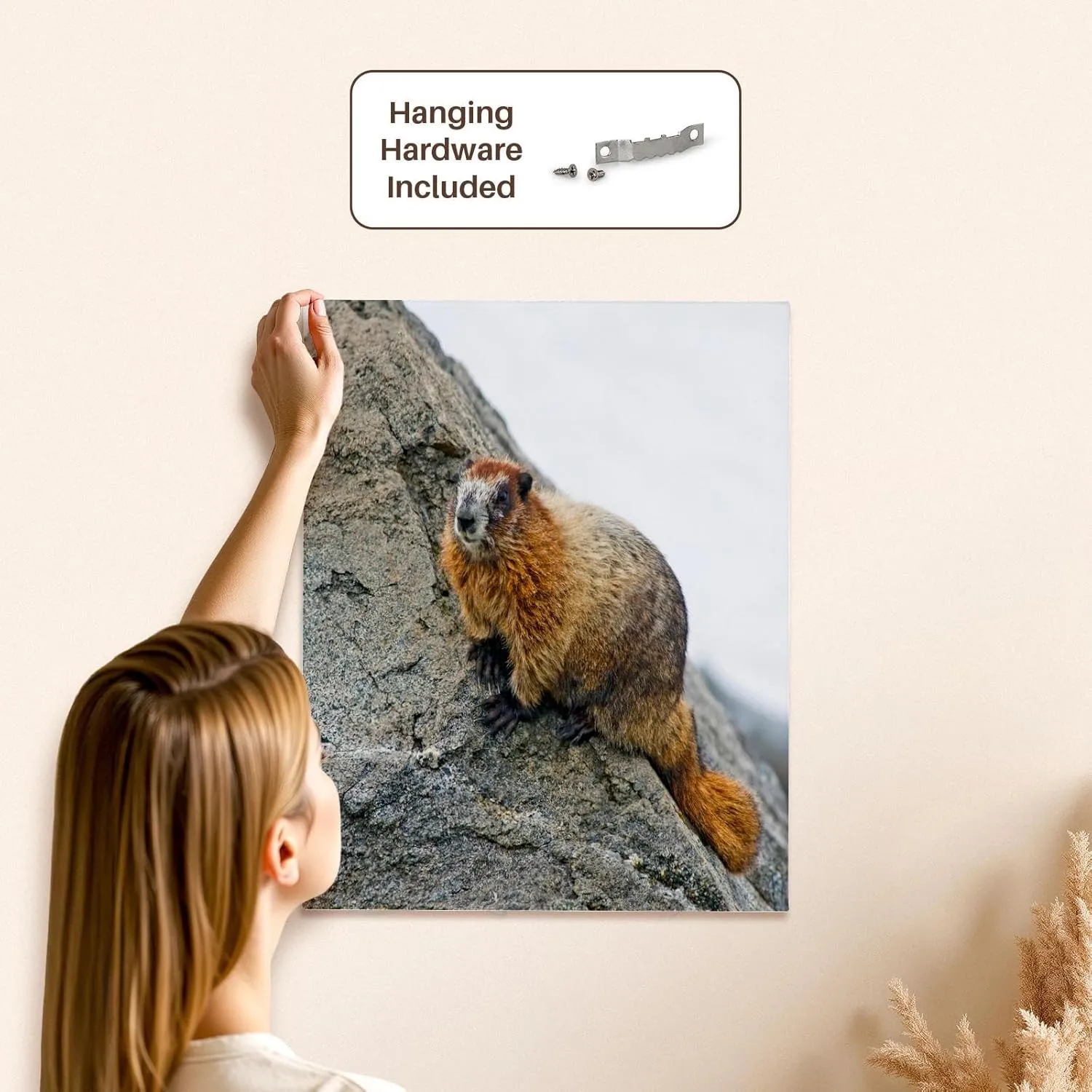 3dRose, USA, Washington, North Cascades NP, Copper Ridge. Adult hoary marmot., Museum Grade Canvas Wrap 16x20