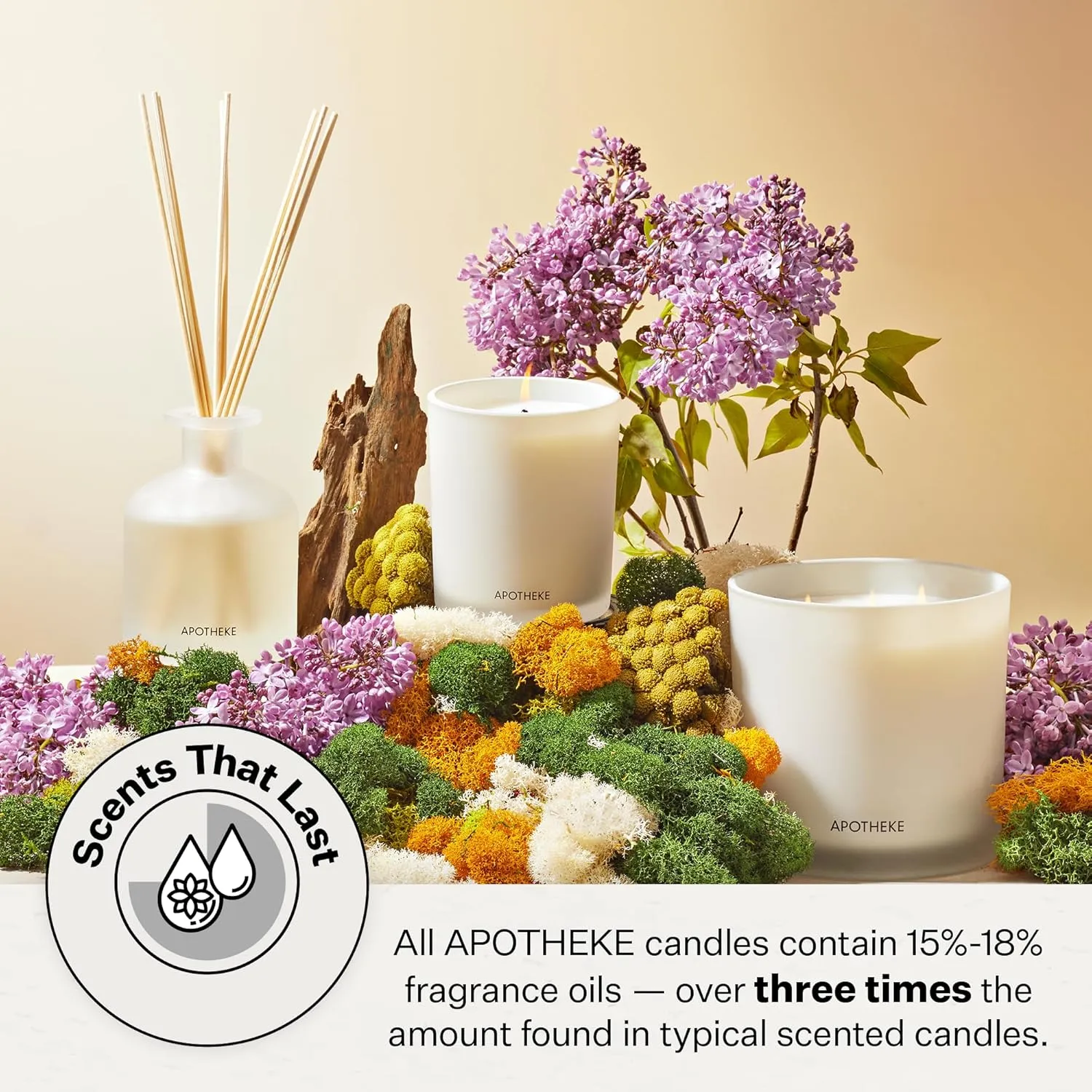 Apotheke Luxury Scented Candles for Home, Canvas - Aromatherapy Jar Candle with Soy Wax Blend