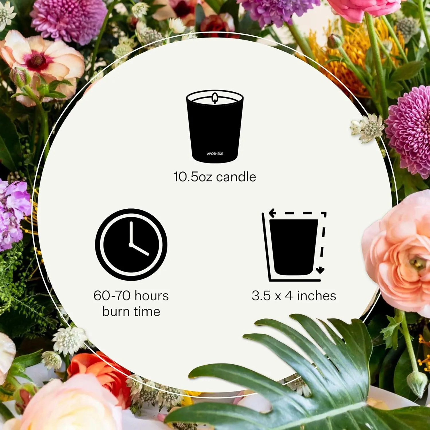 Apotheke Luxury Scented Candles for Home, Canvas - Aromatherapy Jar Candle with Soy Wax Blend
