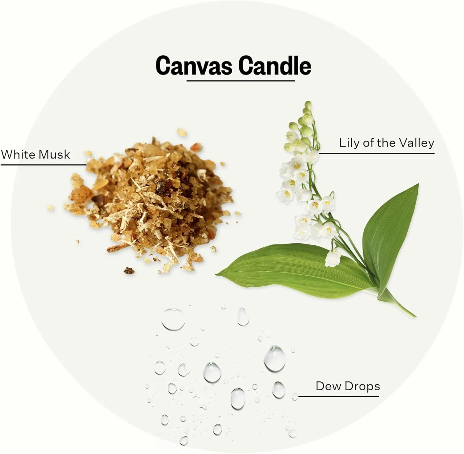 Apotheke Luxury Scented Candles for Home, Canvas - Aromatherapy Jar Candle with Soy Wax Blend