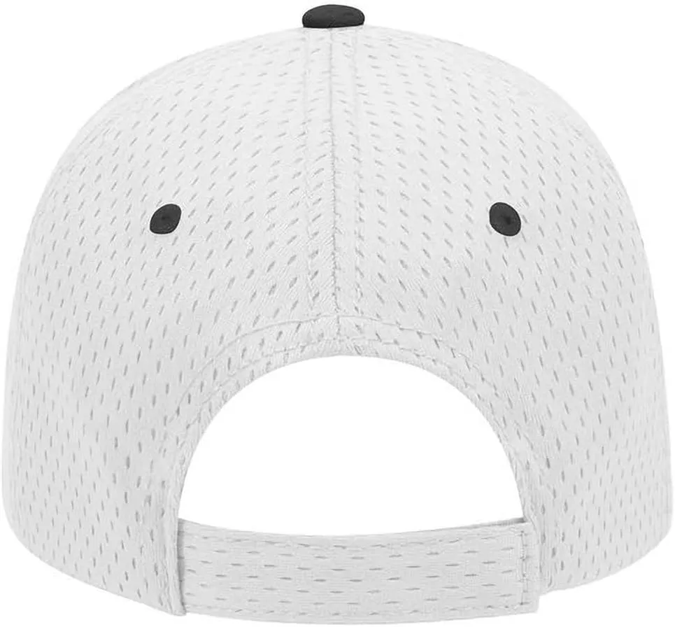 Ashen Fane 6 Panel Polyester Pro Mesh Low Profile Baseball Cap