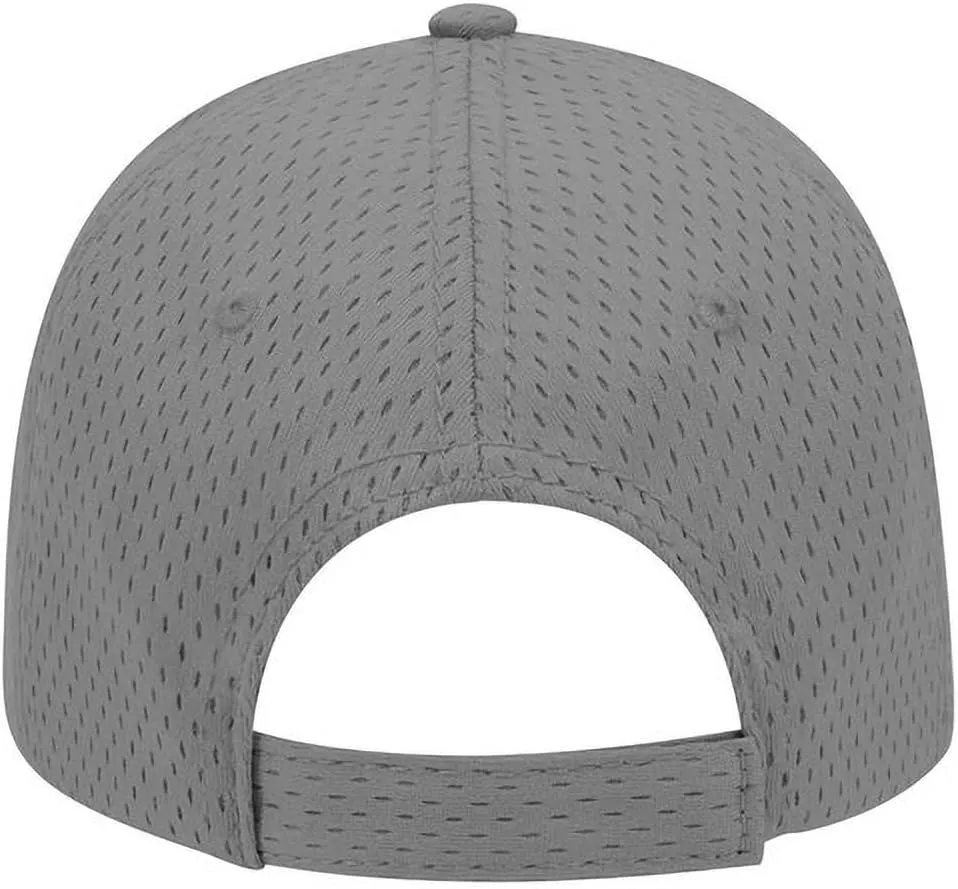 Ashen Fane 6 Panel Polyester Pro Mesh Low Profile Baseball Cap
