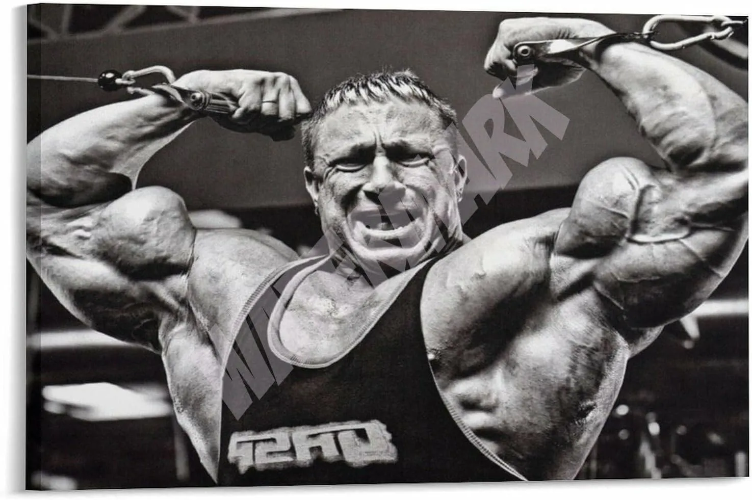 Bodybuilding Markus Ruehl Poster Markus Rühl Fitness Poster (11) Canvas Painting Wall Art Poster for Bedroom Living Room Decor 24x16inch(60x40cm) Frame-style