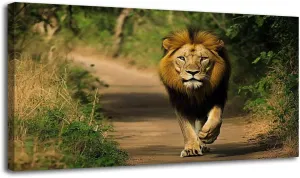 Canvas Wall Art Prints Lion walking Jungle Gir National Park Large Framed Wall Art Painting Artwork Poster Hanging Home Decor for Living Room Office Bathroom 30"x60"