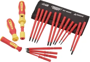 Draper 81762 XP1000 VDE Interchangeable Torque Screwdriver Set (19 Piece),Red and Yellow
