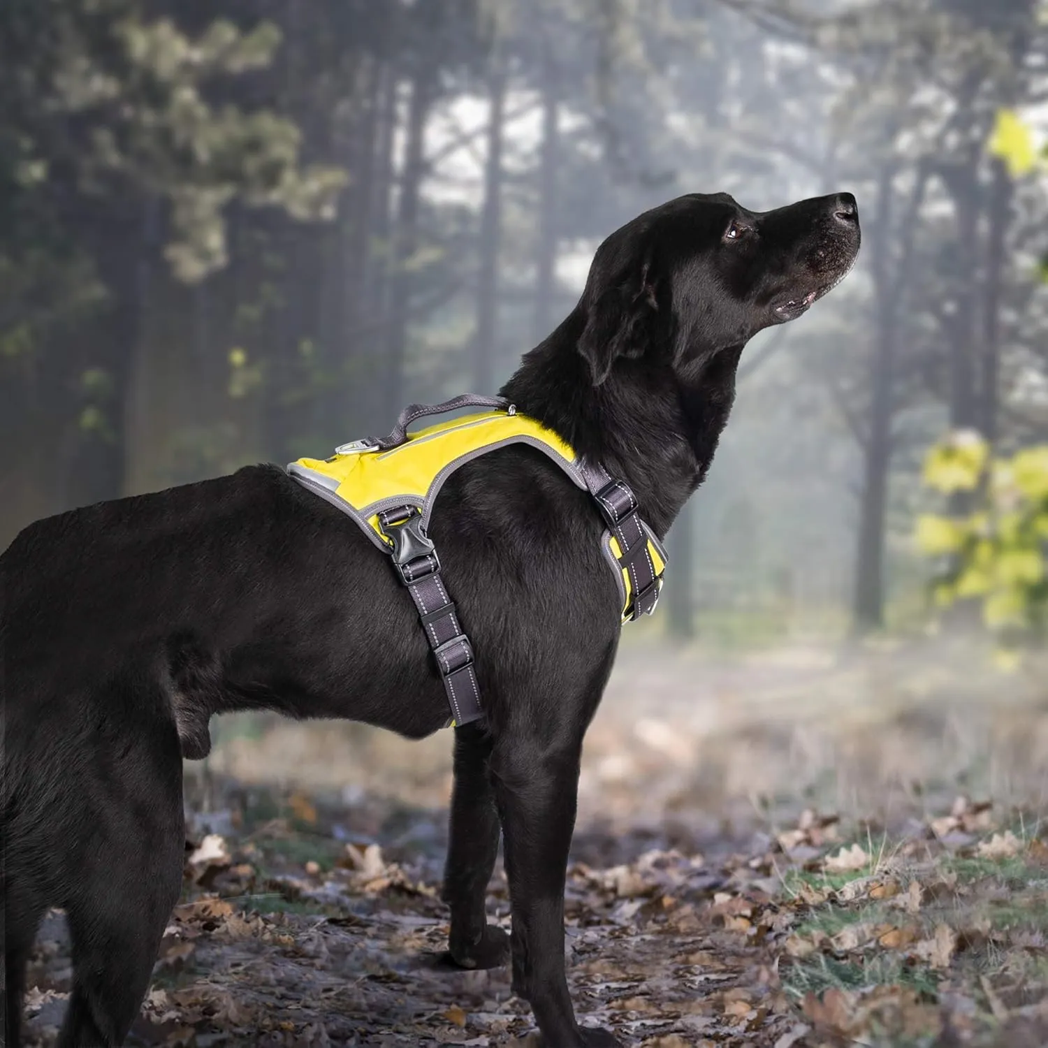Fida Dog Harness, Multi-Functional No-Pull Pet Vest Harness with Saddle Bags Backpack, Front Leash Clip, Adjustable Soft Padded Reflective No-Choke Dog Vest Heavy Duty for Medium Dog, M, Yellow