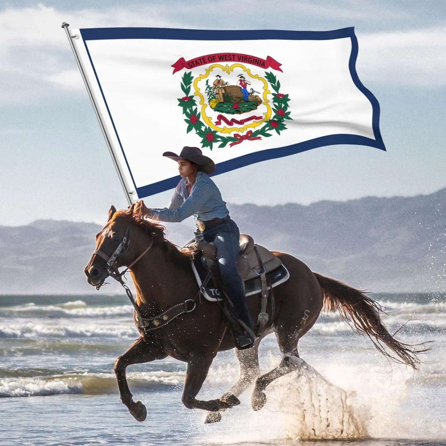 Flag Of West Virginia 5x8 Ft Outdoor Indoor Heavy Duty Nylon Uv Protected Sewn Stripes Vivid Color Double Stitched