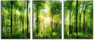 Green Forest Canvas Wall Decor 12x16 inches, Home Decor with Natural Light Elements, Minimalist Canvas Print for Living Room, Bedroom, or Hallway -3 Panels Sunrise Landscape Modern Nature Art