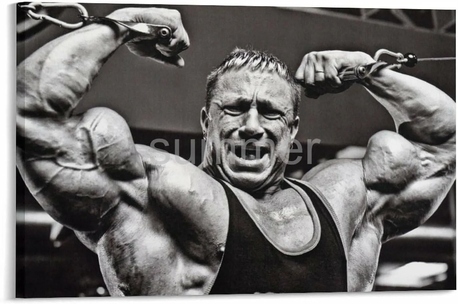 Markus Rühl Bodybuilder Poster 1 Canvas Painting Wall Art Poster for Bedroom Living Room Decor 24x16inch(60x40cm)