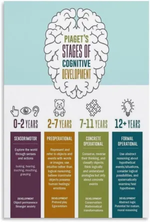 Piaget's Cognitive Development Stages Poster (2) Educational Poster Canvas Painting Art Wall Decoration Living Room Study Classroom Poster Wall Art Poster Canvas Print Office Gift Bedroom Aesthetic De