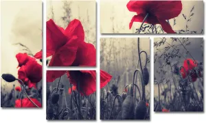 QVC ONLY Lavish Home Philippe Sainte-Laudy 'Red For Love' Multi Panel Art Set
