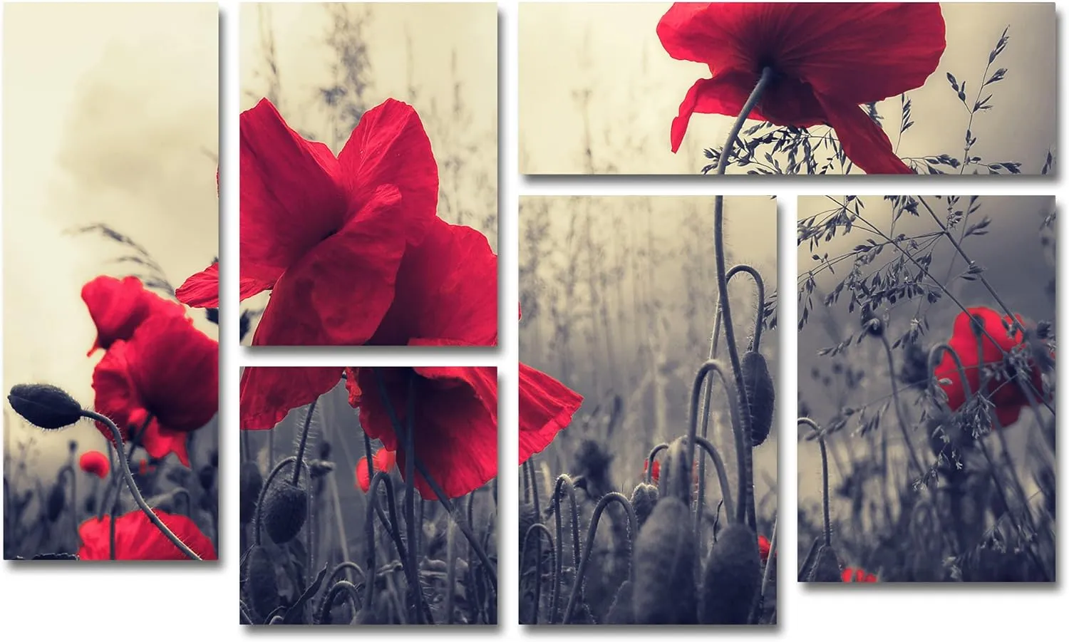QVC ONLY Lavish Home Philippe Sainte-Laudy 'Red For Love' Multi Panel Art Set