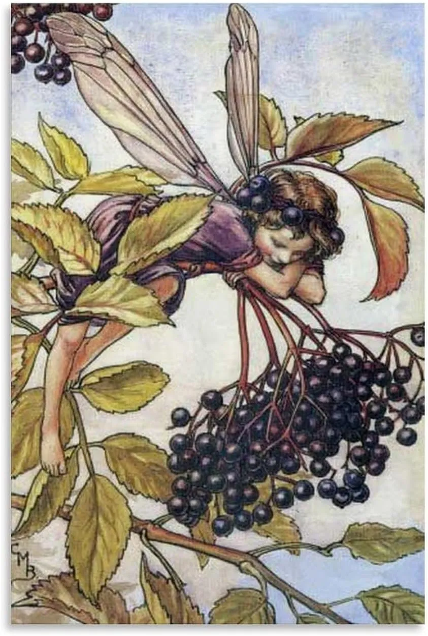 RUICAI Canvas Artwork Home Decor The Elderberry Fairy Illustration By Cicely Mary Barker （1） Canvas Poster Bedroom Decor Office Room Decor Gift Unframe-style 08x12inch(20x30cm)