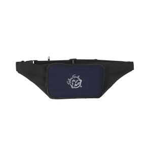 Waist Packs